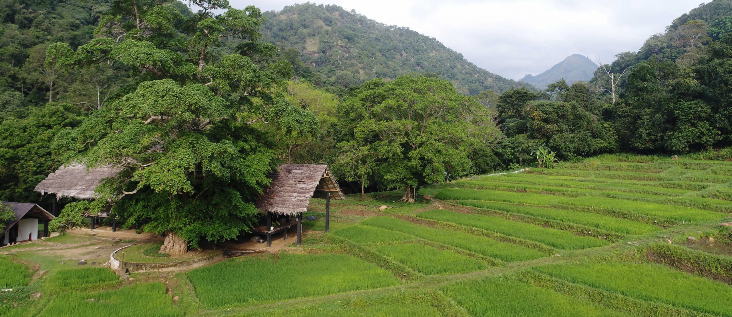 contact_edited-scaled